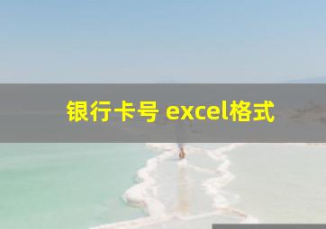 银行卡号 excel格式